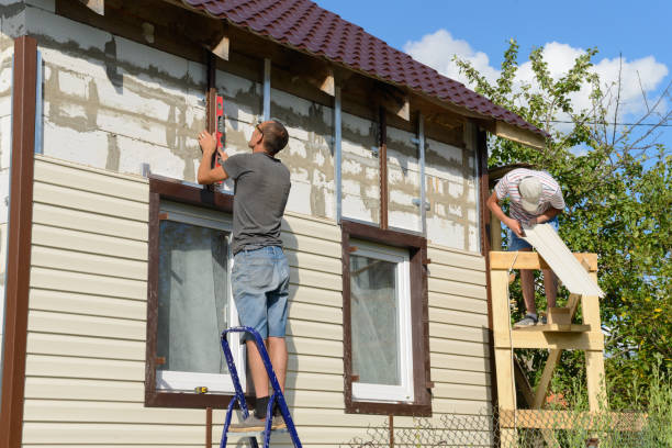 Best Vinyl Siding Installation  in Panama, OK