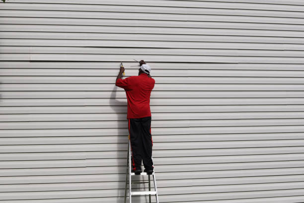 Best Aluminum Siding Installation  in Panama, OK